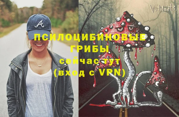 не бодяженный Аркадак