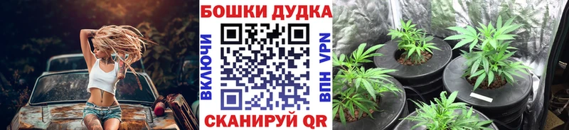 blacksprut рабочий сайт  где можно купить наркотик  Олёкминск  Канабис VHQ 